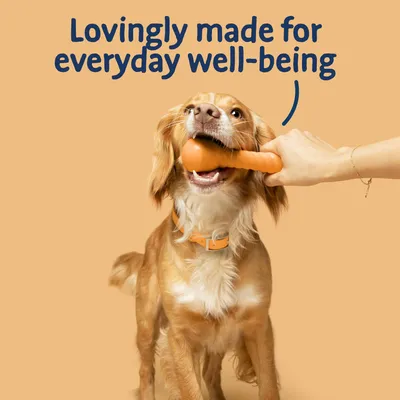 Dog holding an orange chew toy in its mouth, with text above reading 'Lovingly made for everyday well-being'.