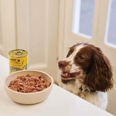 Blik Lily's Kitchen natvoer en een kom met nat hondenvoer op tafel, hond zichtbaar naast de tafel. Blik toont merknaam en illustraties.
