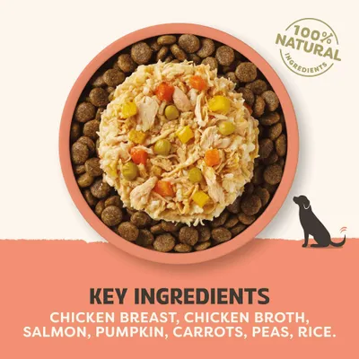 Hovedingredienser: Kyllingebryst, kyllingebouillon, laks, græskar, gulerødder, ærter, ris. 100% naturlige ingredienser. Hovedingredienser: Kyllingebryst, kyllingebouillon, laks, græskar, gulerødder, ærter, ris. 100% naturlige ingredienser.