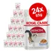 Royal Canin Adult Jelly & Gravy Mixed Pack 24 x 85g