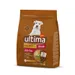 Ultima Hond Mini Senior Kip