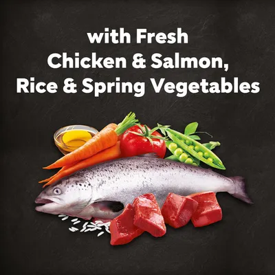 Cesar Adult with Chicken, Salmon & Vegetables