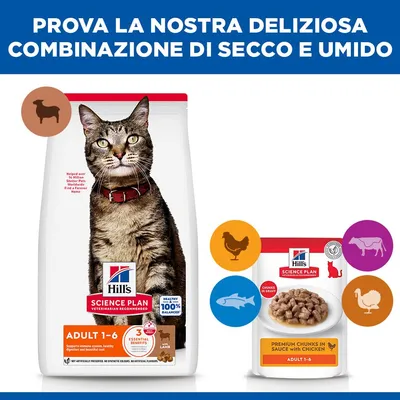 Hill's Science Plan Adult Agnello & Riso