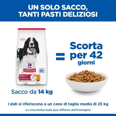 Hill's Science Plan Adult 1-6 Medium con Pollo