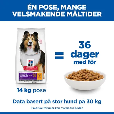 Hill's Science Plan Sensitive Stomach & Skin Adult 1 + Medium med kylling