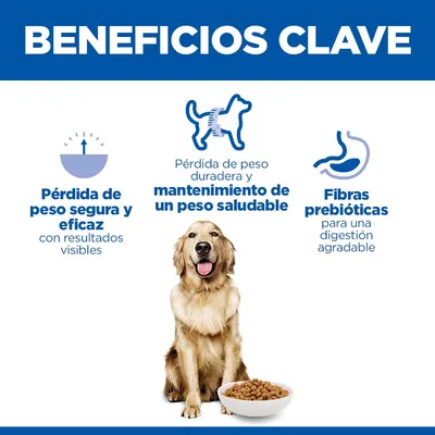 Hill's Science Plan Perfect Weight Adult 1+ Large con pollo