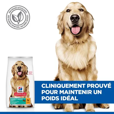 Hill's Science Plan Perfect Weight nourriture pour chien. Sceau : Sans conservateurs artificiels, colorants ou arômes. Texte : Cliniquement prouvé pour maintenir le poids idéal. Hill's Science Plan Perfect Weight nourriture pour chien. Sceau : Sans conservateurs artificiels, colorants ou arômes. Texte : Cliniquement prouvé pour maintenir le poids idéal.