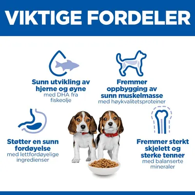 Hill's Science Plan Puppy <1 Medium med lam & ris