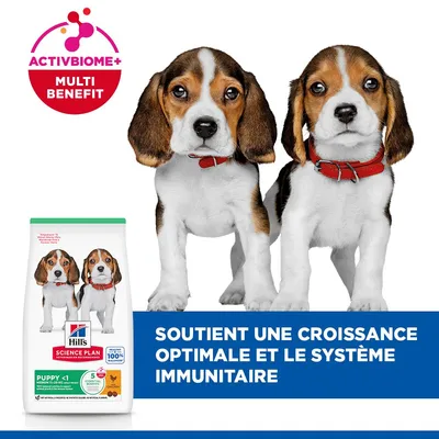 Hill's Science Plan Puppy <1 Medium Poulet
