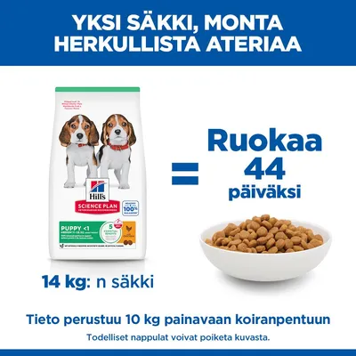 Hill's Science Plan Puppy <1 Medium kana