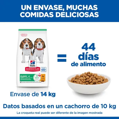 Hill's Science Plan Puppy <1 Medium  con pollo