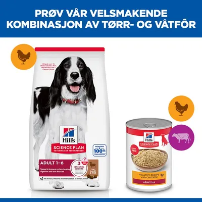 Hill's Science Plan Adult 1-6 Medium Lam & Ris