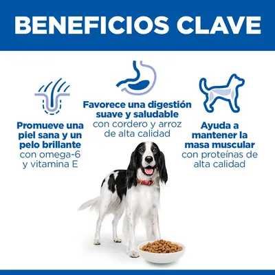 Hill's Science Plan Adult 1-6 Medium con cordero y arroz