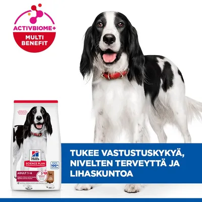 Hill's Science Plan Adult 1-6 koiranruoka ActivBiome+ Multi Benefit. Tukee immuunijärjestelmää, nivelten terveyttä ja lihaskuntoa. Hill's Science Plan Adult 1-6 koiranruoka ActivBiome+ Multi Benefit. Tukee immuunijärjestelmää, nivelten terveyttä ja lihaskuntoa.