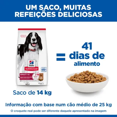 Hill's Science Plan Adult 1-6 Medium com cordeiro e arroz