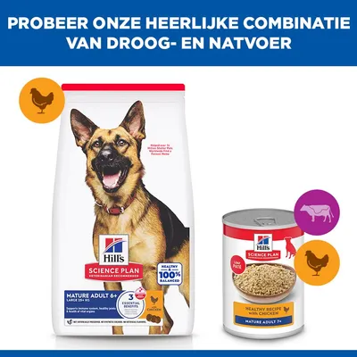 Hill's Science Plan Mature Adult 6+ Large poulet pour chien