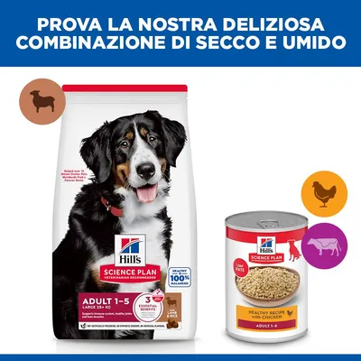 Hill's Science Plan Adult 1-5 Large con Agnello e Riso
