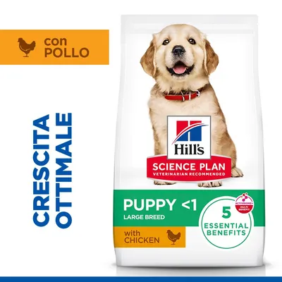 Hill's Science Plan Puppy <1 Large con Pollo