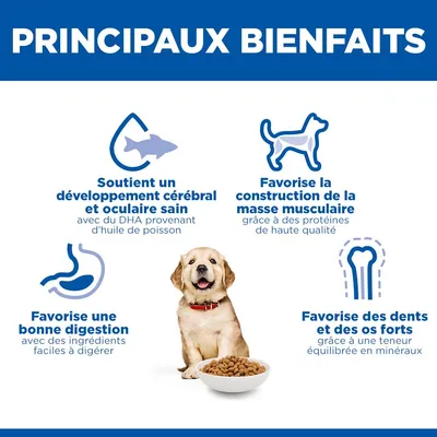 Hill's Science Plan Puppy <1 Large Poulet