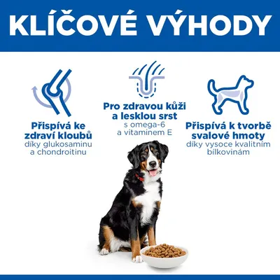 Hill's Science Plan Adult 1-5 Large s kuracím