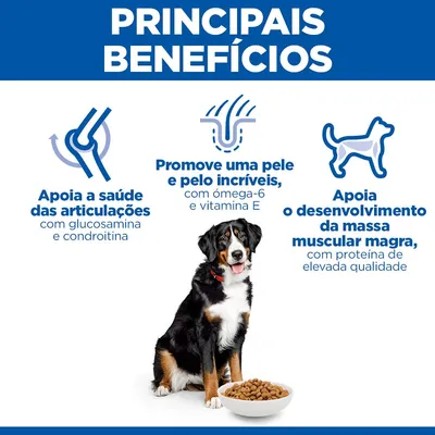 Hill's Science Plan Adult 1-5 Large com frango