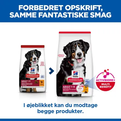 Hill's Science Plan Adult 1-5 Large Kylling