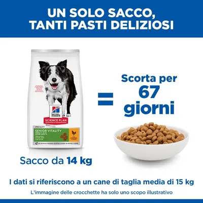 Hill's Science Plan Senior Vitality Mature Adult 7+ Medium con Pollo