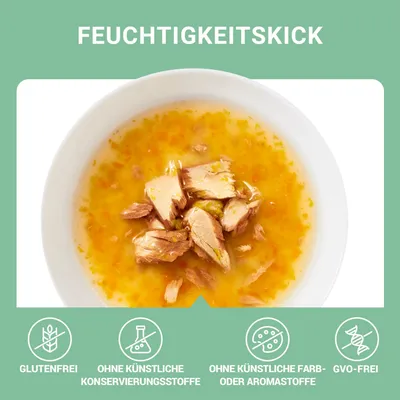 Schesir Cat Soup 12 x 40 g