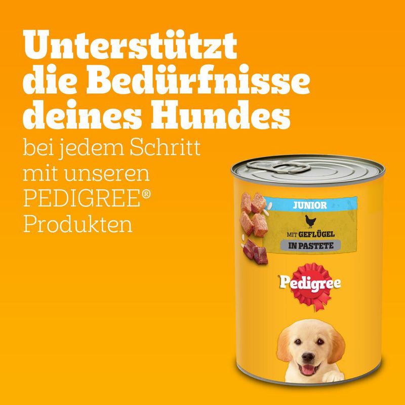Pedigree Classic 12 x 800 g