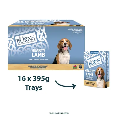 Burns Hearty Lamb mit Karotten und braunem Reis, 16 x 395g Schalen für erwachsene und ältere Hunde aller Rassen. Entwickelt von Tierarzt John Burns.