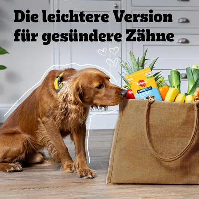 Pedigree Dentastix Light in einer Einkaufstasche mit Obst und Gemüse. Text: Die leichtere Version für gesündere Zähne.