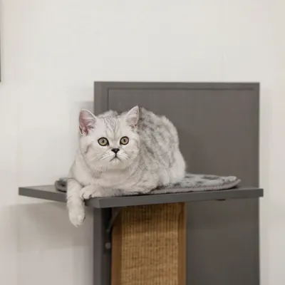 Kerbl Pet ECO hišica za mačke Alex