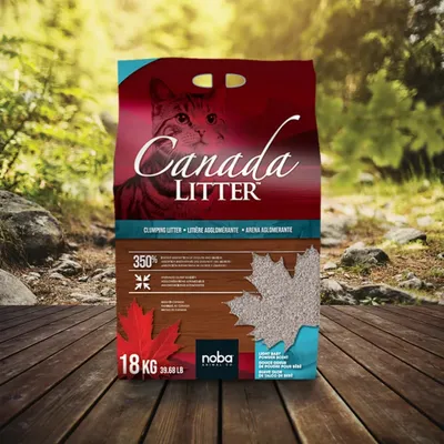 Canada Litter parfumé à la poudre de bébé