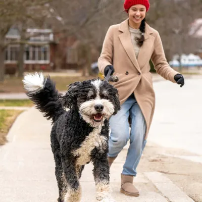 Virbac Veterinary HPM Dog Adult Neutered Large & Medium Virbac Veterinary HPM Dog Adult Neutered Large & Medium