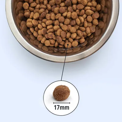 Kroketten in Edelstahlnapf, einzelne Krokette hervorgehoben mit Durchmesserangabe 17 mm.