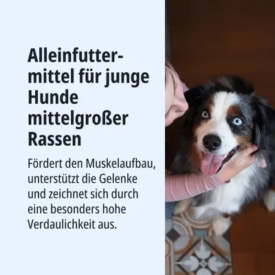 Alleinfuttermittel für junge Hunde mittelgroßer Rassen. Fördert Muskelaufbau, unterstützt Gelenke, besonders hohe Verdaulichkeit.