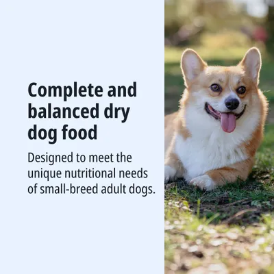 Complete and balanced dry food, developed for the unique nutritional needs of adult dogs of small breeds. Complete and balanced dry food, developed for the unique nutritional needs of adult dogs of small breeds.