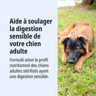 Aide à la digestion sensible des chiens adultes. Développé pour répondre aux besoins nutritionnels des chiens adultes stérilisés ayant une digestion sensible. Aide à la digestion sensible des chiens adultes. Développé pour répondre aux besoins nutritionnels des chiens adultes stérilisés ayant une digestion sensible.