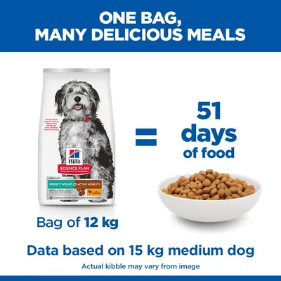 Hill's Science Plan Perfect Weight & Active Mobility Adult 1+ Medium csirke