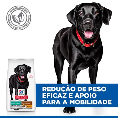 Hill's Adult Perfect Weight & Active Mobility Large Science Plan frango