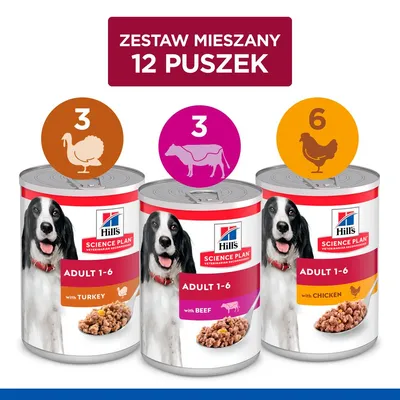 Hill's Science Plan Adult