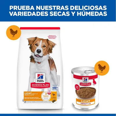 Hill's Science Plan Adult 1-6 Light con pollo latas para perros Hill's Science Plan Adult 1-6 Light con pollo latas para perros