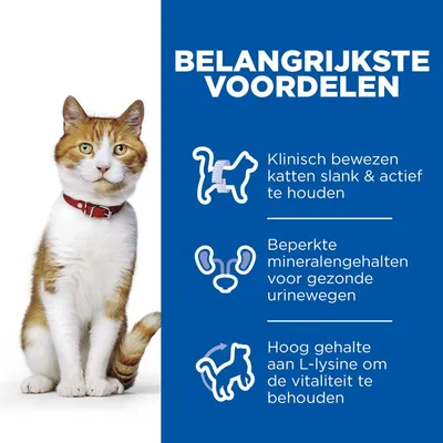 Belangrijkste voordelen: klinisch bewezen katten slank & actief te houden, beperkte mineralengehalten voor gezonde urinewegen, hoog gehalte aan L-lysine om vitaliteit te behouden.