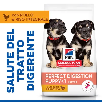 Hill's Science Plan Perfect Digestion Puppy <1 Medium con Pollo