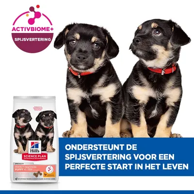 Hill's Science Plan Medium Puppy Perfect Digestion Hondenvoer