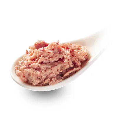 Porzione di alimento umido per pet su cucchiaio bianco, consistenza morbida e aspetto misto, senza confezione o marchio visibile.