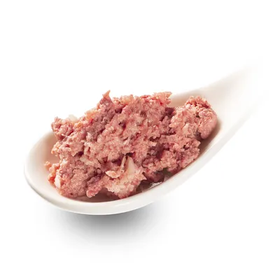 Nahaufnahme von feuchtem Tierfutter auf einem weissen Löffel, zeigt die Konsistenz und Textur des Produkts.