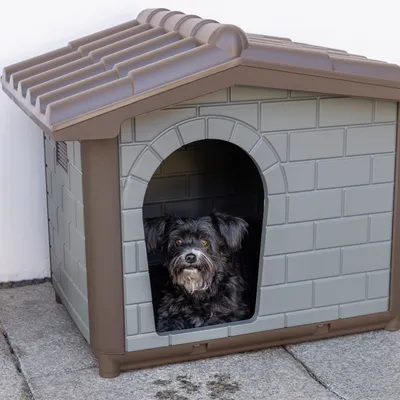 Caseta Kerbl Pet Levin para perros