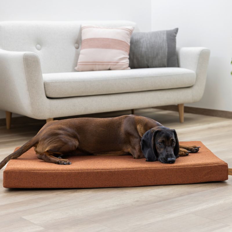 Kerbl Pet Memory Foam Matratze Oliver, rost
