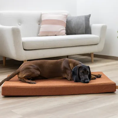 Kerbl Pet Memory Foam Mattress Oliver - Rust